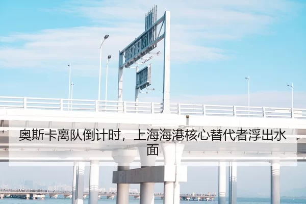 奥斯卡离队倒计时，上海海港核心替代者浮出水面