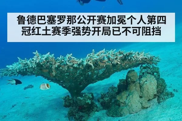 鲁德巴塞罗那公开赛加冕个人第四冠红土赛季强势开局已不可阻挡