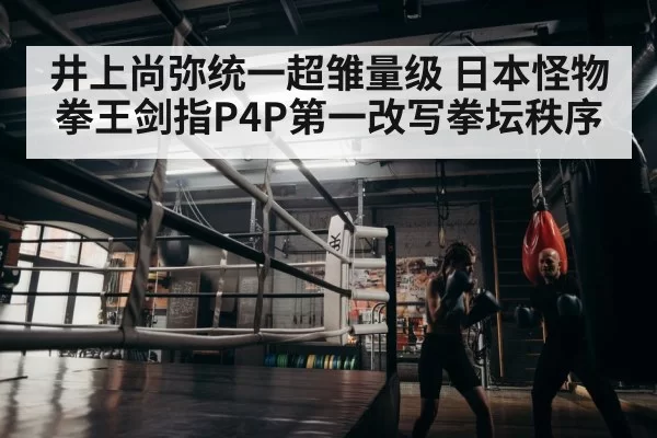boxer training gym